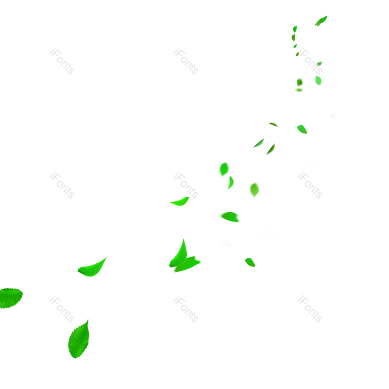 叶子图片,清新元素,夏天PNG,装饰树叶免抠素材